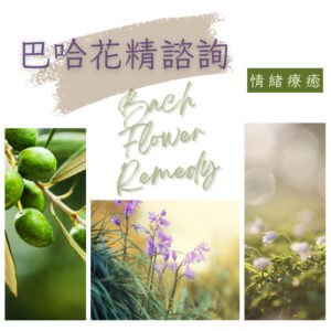 巴哈花精諮詢